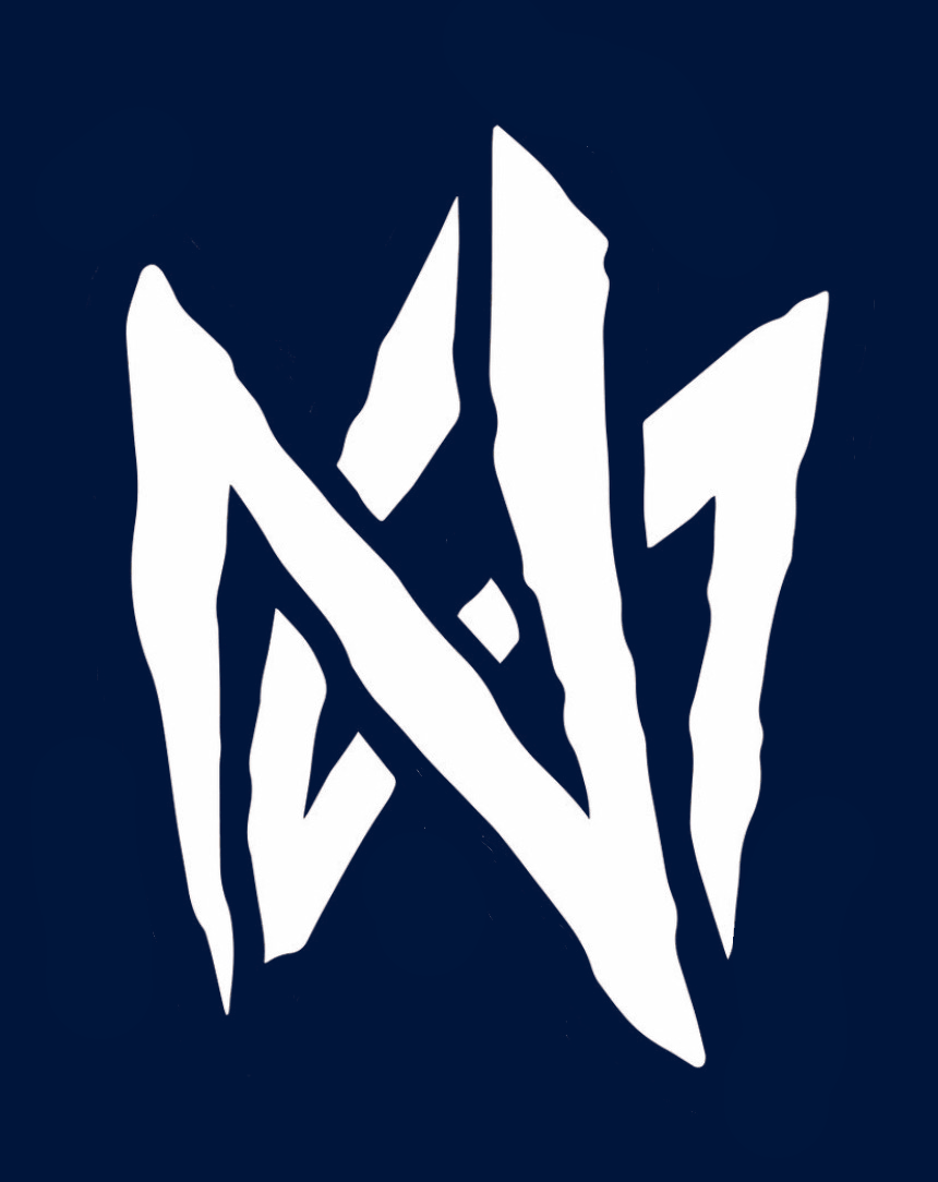 OG Premium Snapback (Navy)